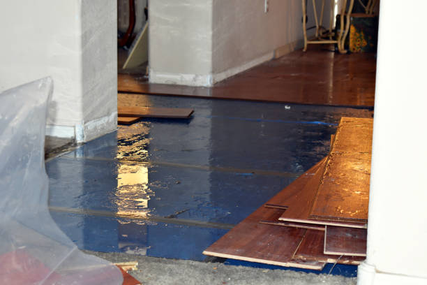Professional Flood Damage Repair technician working in Garrett, TX
